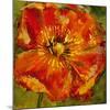 Petals III-Dysart-Mounted Giclee Print