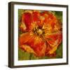 Petals III-Dysart-Framed Giclee Print