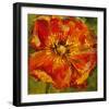 Petals III-Dysart-Framed Giclee Print