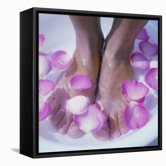 Petals In a Foot Bath-Cristina-Framed Stretched Canvas