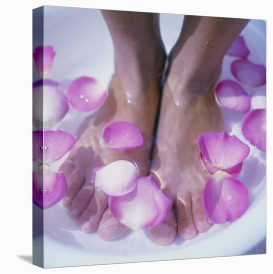 Petals In a Foot Bath-Cristina-Stretched Canvas