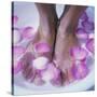 Petals In a Foot Bath-Cristina-Stretched Canvas