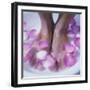 Petals In a Foot Bath-Cristina-Framed Premium Photographic Print