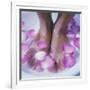 Petals In a Foot Bath-Cristina-Framed Photographic Print