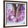 Petals In a Foot Bath-Cristina-Framed Photographic Print