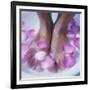 Petals In a Foot Bath-Cristina-Framed Photographic Print