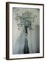 Petals in the Wind-Valda Bailey-Framed Photographic Print