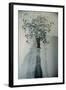 Petals in the Wind-Valda Bailey-Framed Photographic Print