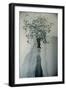 Petals in the Wind-Valda Bailey-Framed Photographic Print