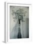 Petals in the Wind-Valda Bailey-Framed Photographic Print