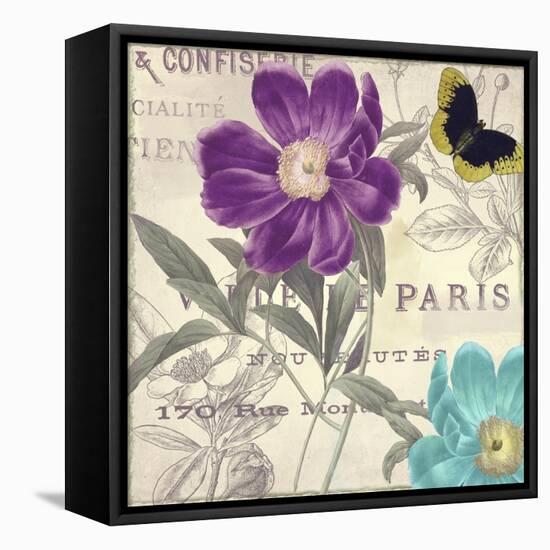 Petals of Paris II-null-Framed Stretched Canvas