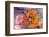 Petals on Petals-Neela Pushparaj-Framed Photographic Print