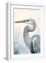 White Frame
