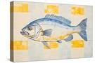 Stretched Canvas