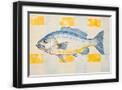Black Frame