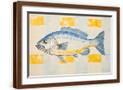 Brown Frame