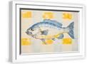 White Frame