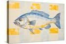 Stretched Canvas
