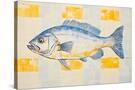 Stretched Canvas