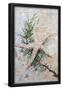 Essential Black