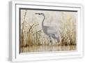 White Frame
