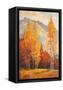 Canvas Black