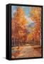 Canvas Black