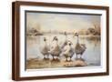 Brown Frame