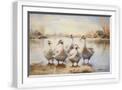 White Frame