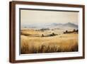 Brown Frame
