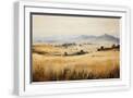 White Frame