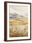 Brown Frame