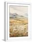 White Frame
