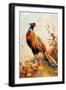 Black Frame