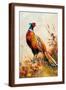Brown Frame