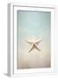 White Frame