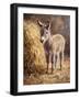 Chelsea Black