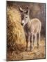 Wood Mount