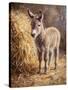 Stretched Canvas