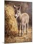 Wood Mount
