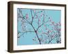 Petals & Sky IV-Sharon Chandler-Framed Photographic Print