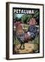 Petaluma, California - Rooster - Scratchboard-Lantern Press-Framed Art Print