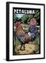 Petaluma, California - Rooster - Scratchboard-Lantern Press-Framed Art Print