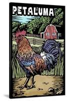 Petaluma, California - Rooster - Scratchboard-Lantern Press-Stretched Canvas