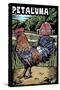 Petaluma, California - Rooster - Scratchboard-Lantern Press-Stretched Canvas