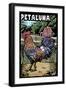 Petaluma, California - Rooster - Scratchboard-Lantern Press-Framed Art Print