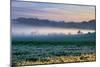 Petaluma Farm Land and First Light, Sonoma, San Francisco Bay Area-Vincent James-Mounted Photographic Print