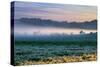 Petaluma Farm Land and First Light, Sonoma, San Francisco Bay Area-Vincent James-Stretched Canvas