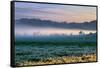 Petaluma Farm Land and First Light, Sonoma, San Francisco Bay Area-Vincent James-Framed Stretched Canvas