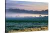 Petaluma Farm Land and First Light, Sonoma, San Francisco Bay Area-Vincent James-Stretched Canvas